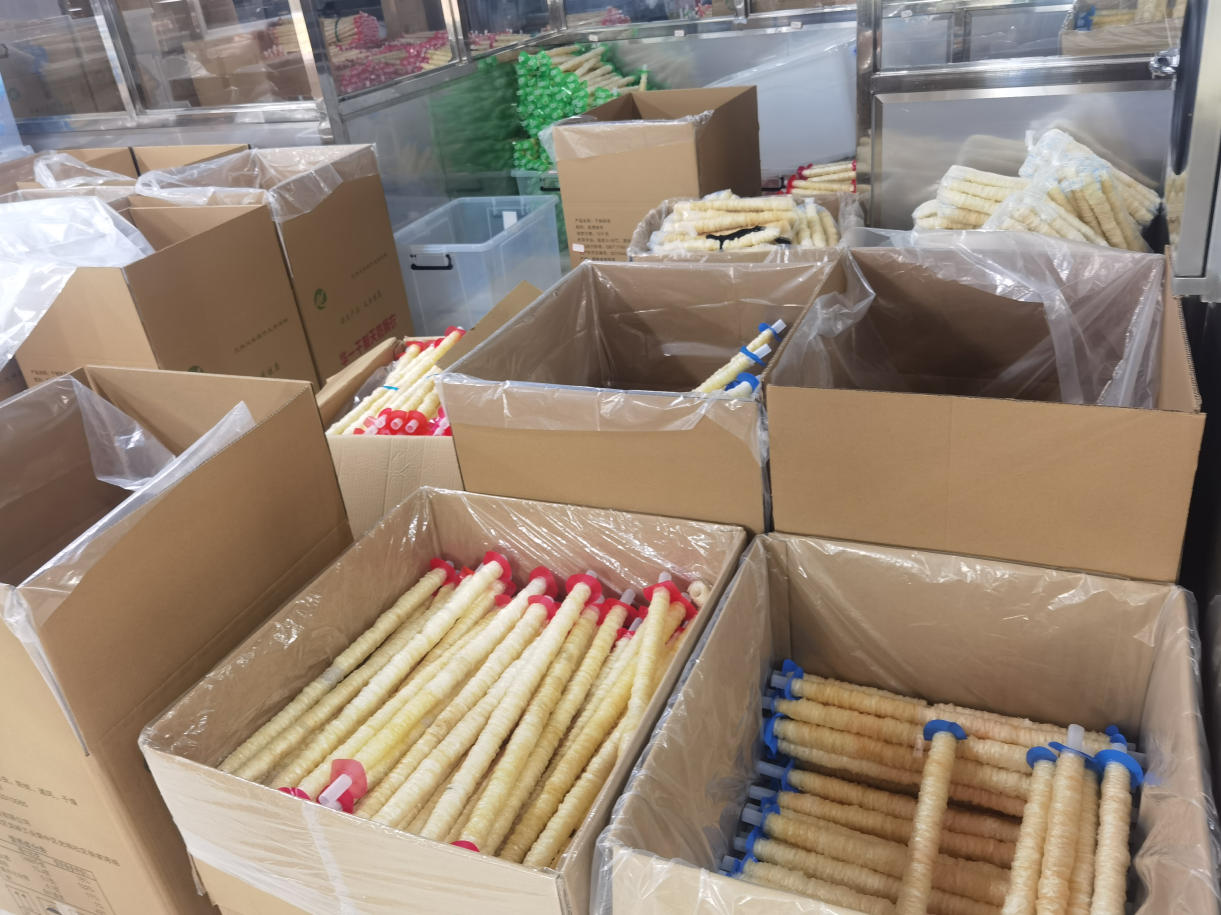 Traditional Craftsmanship Dried Hog Casings